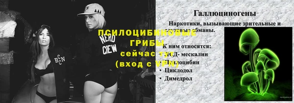 спиды Алексеевка