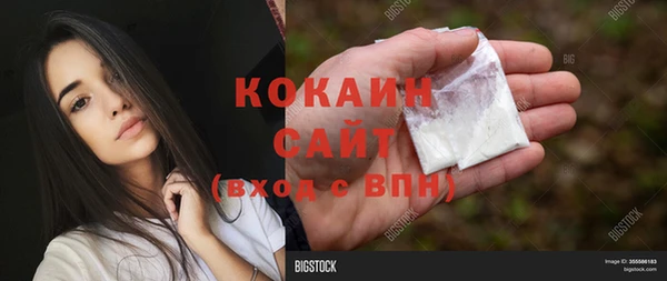 прущий лед Алзамай
